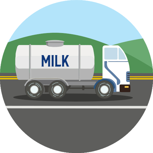 fresh milk is taken from the farm to the creamery